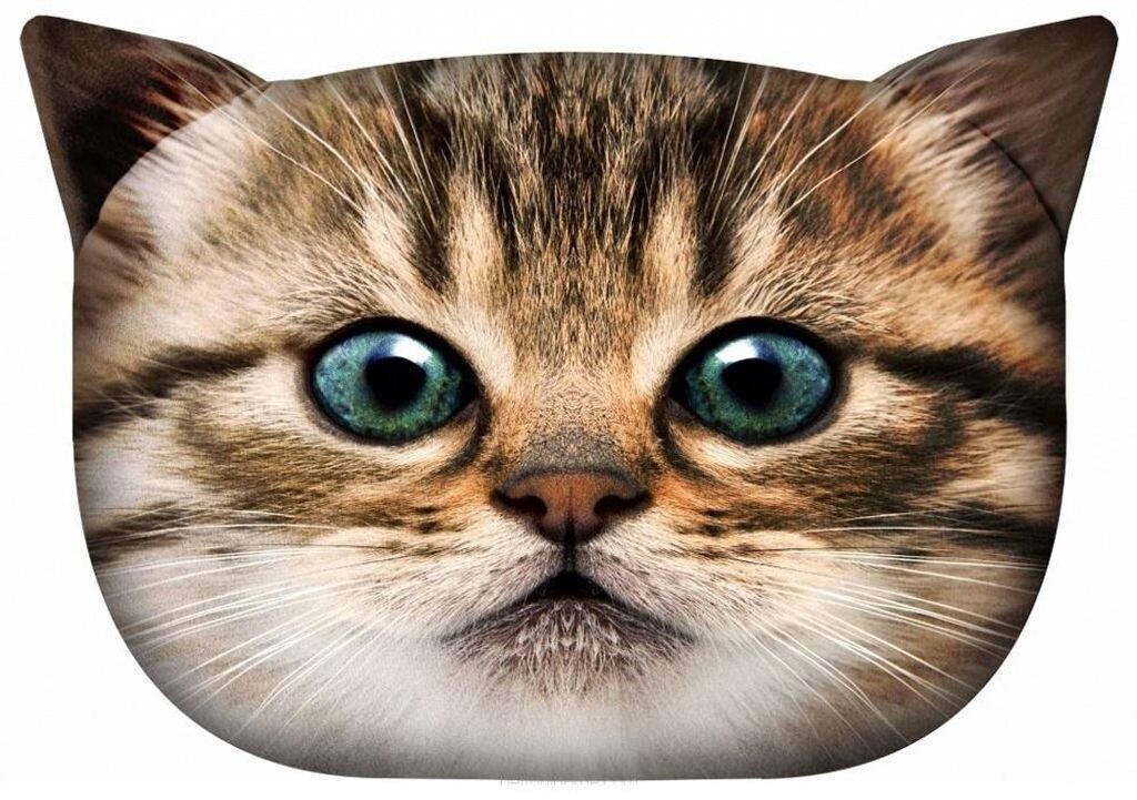 

Декоративная подушка для дивана »CAT Gapcio« PT03 Arso