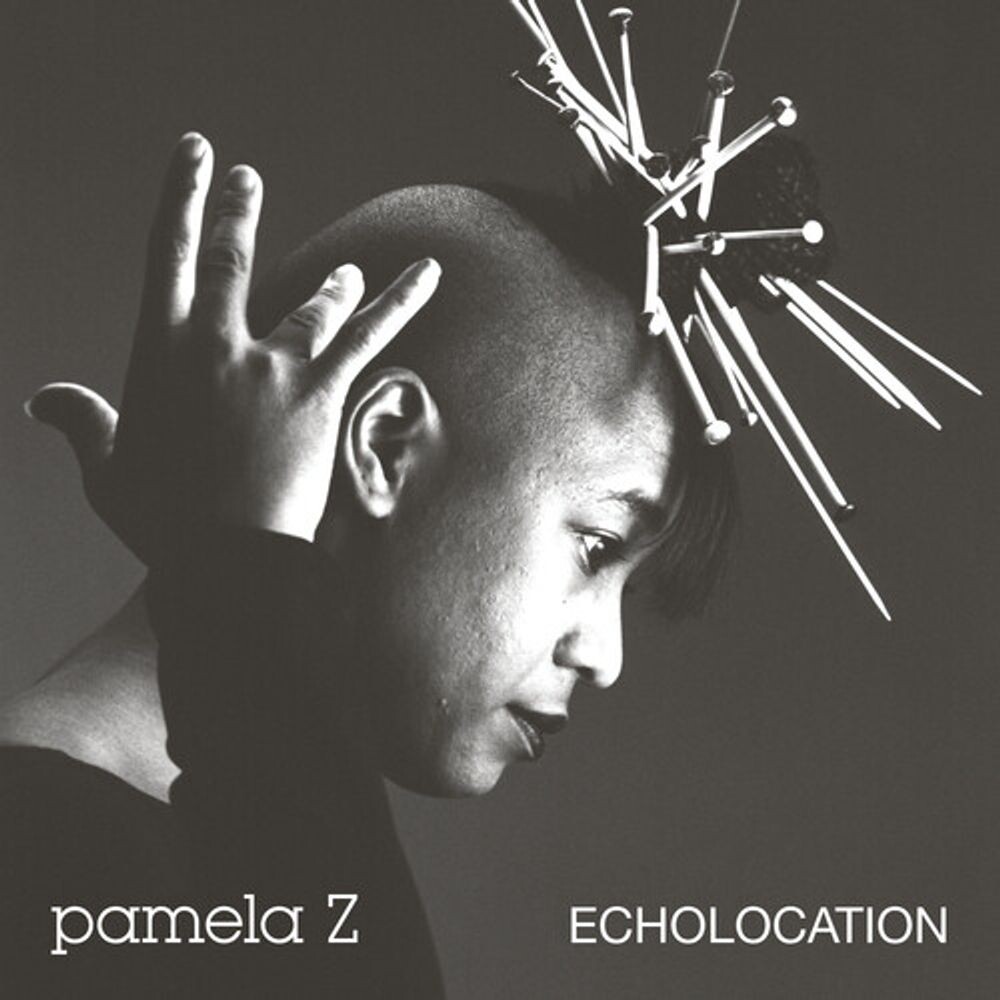 

Виниловая пластинка LP Echolocation [Natural Swirl Vinyl] - Pamela Z