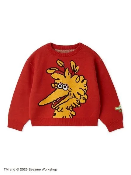 Вязаный пуловер Sesame Street Market, RED[046]
