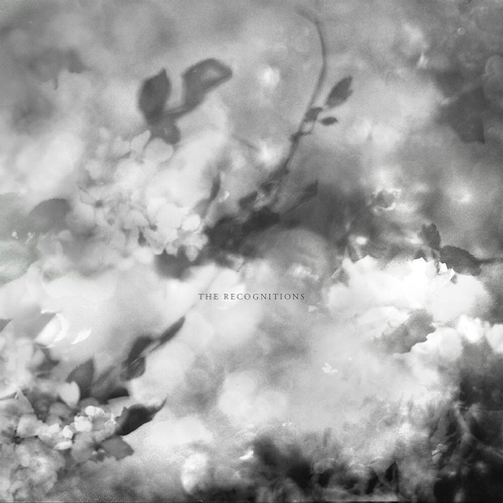 

Диск CD The Recognitions - Exitmusic