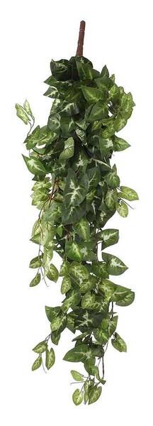 

Декоративное растение Mica Decorations Hängepflanze Fittonia, зеленый