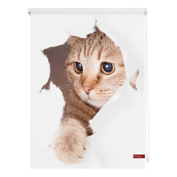 

Рулонные шторы Блэкаут twentyfour Katze, 90x150x6 см цвет weiß/braun