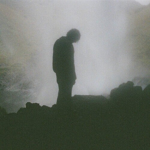 

Виниловая пластинка Palmistry: Afterlife