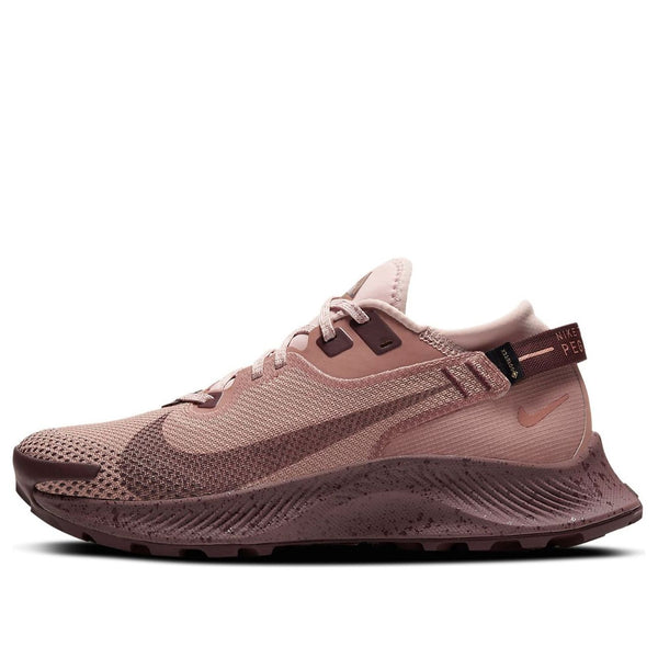 Кроссовки pegasus trail 2 gore-tex 'desert dust mauve' Nike, мультиколор