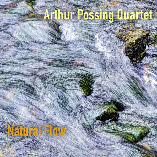 

CD диск Arthur Possing Quartet: Natural Flow