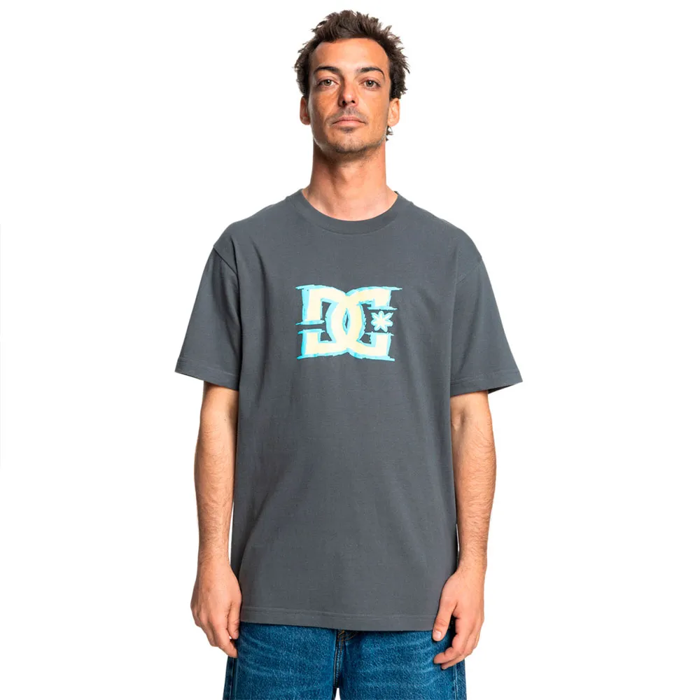 

Футболка с коротким рукавом Dc Shoes Big Deal Star, серый