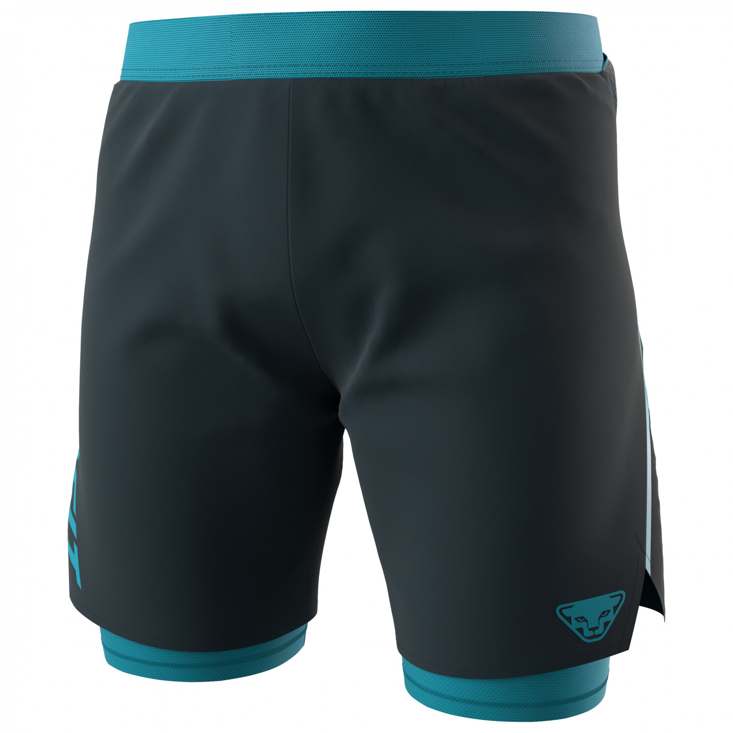 

Шорты для бега Dynafit Alpine Pro 2/1 Shorts, цвет Blueberry/Storm Blue