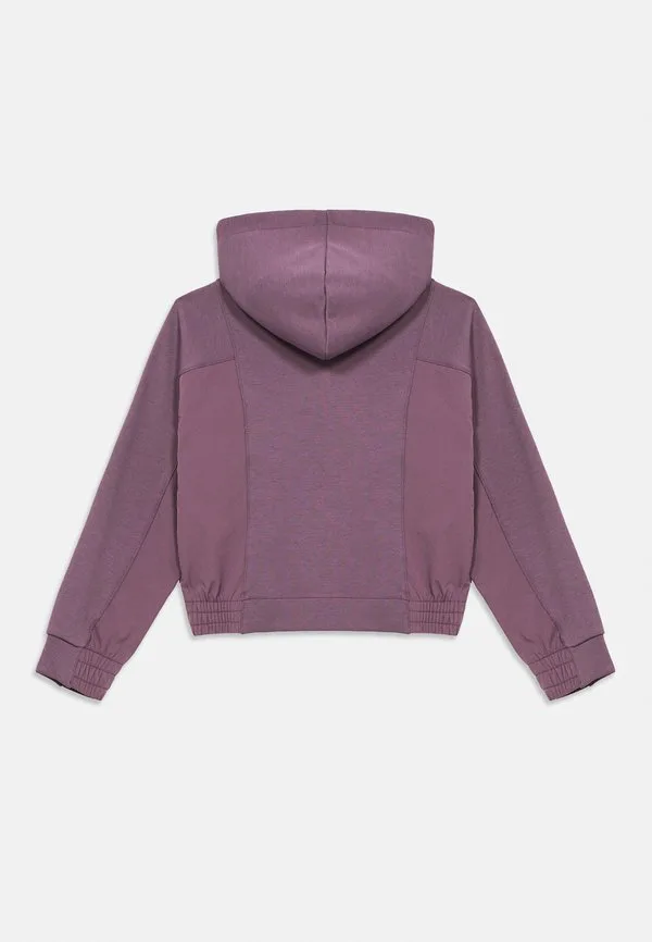 Толстовка с капюшоном и застежкой-молнией из трикотажа. Champion, Mauve — фото 2