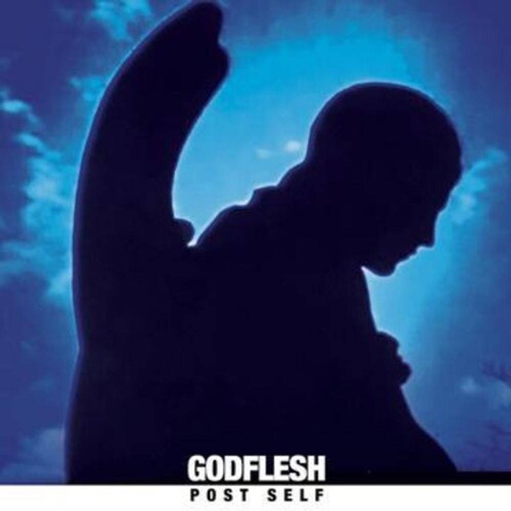 

Виниловая пластинка LP Post Self [Blue Vinyl] - Godflesh