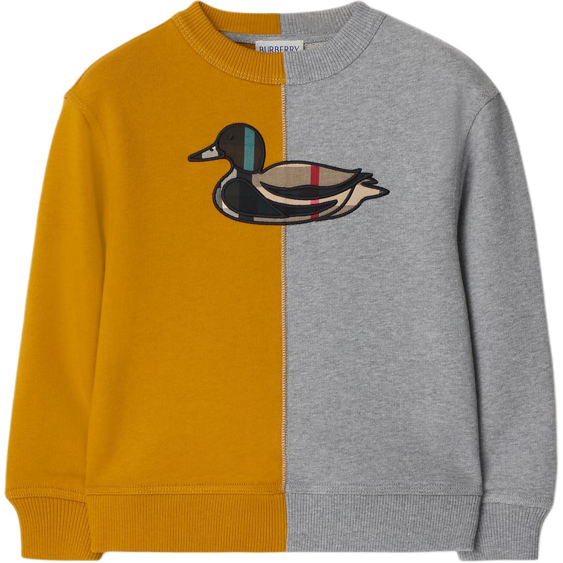 

Толстовка FW24 Logo Embroidery Patchwork Crew Neck Long Sleeved Gray Kids' Burberry, серый