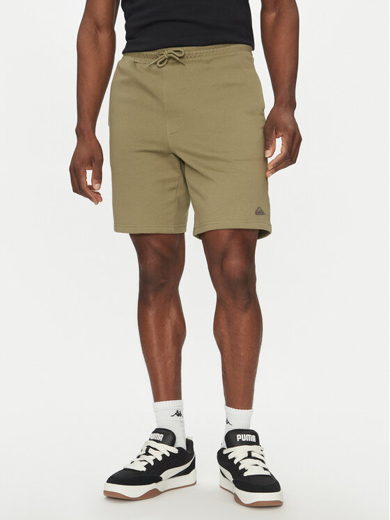 

Спортивные шорты обычного кроя EQYFB03372 Quiksilver, зеленый