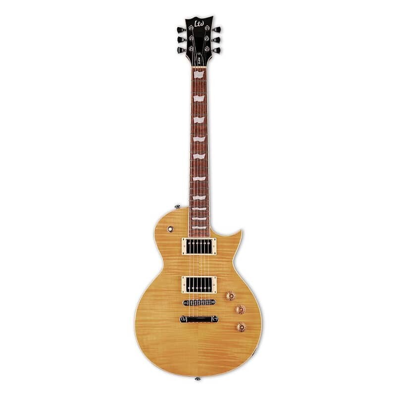 

Электрогитара ESP LTD EC-256 FM 6-String Right-Handed Electric Guitar with Mahogany Body and Roasted Jatoba Fingerboard