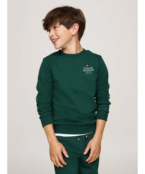 

Толстовка Regular fit Tommy Hilfiger, зеленый