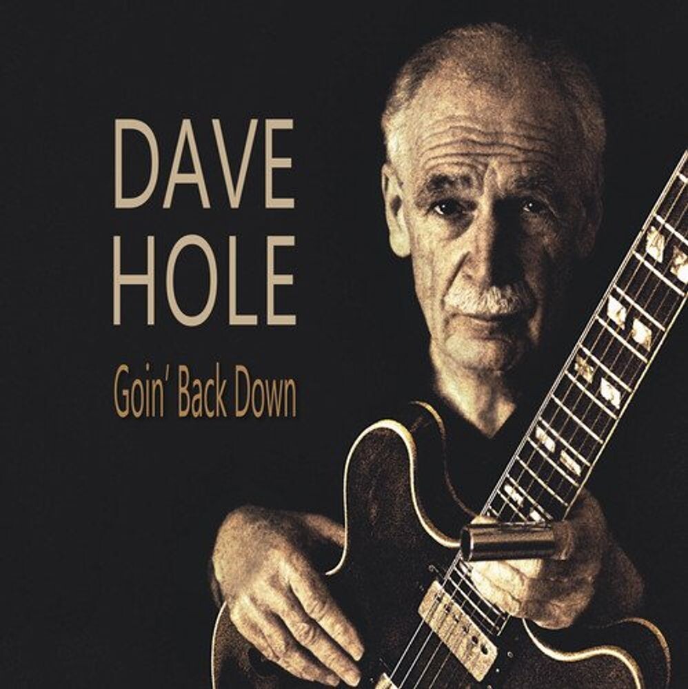 

Виниловая пластинка LP Goin' Back Down - Dave Hole
