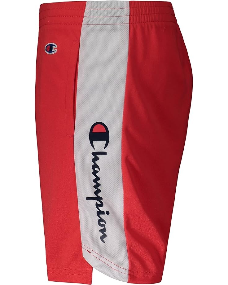 

Шорты Champion Champion Script Basketball Shorts, цвет Scarlet/White