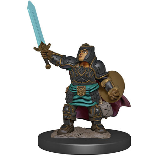 

Миниатюра WizKids/NECA D&D Premium Painted Figure: W4 Female Dwarf Paladin