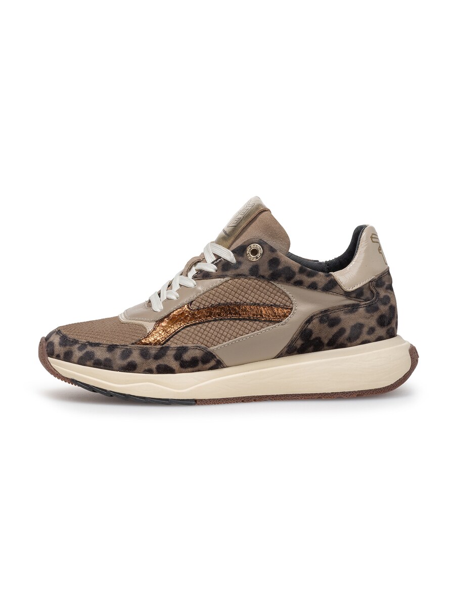 Кроссовки Floris van Bommel Suvi 02, Dark beige