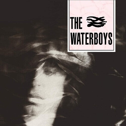 

CD диск Waterboys: Waterboys