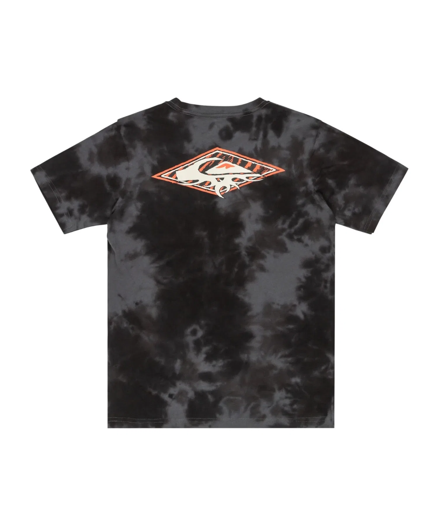 Детская футболка Quiksilver FROG RITUAL SS TEE YOUTH — фото 4