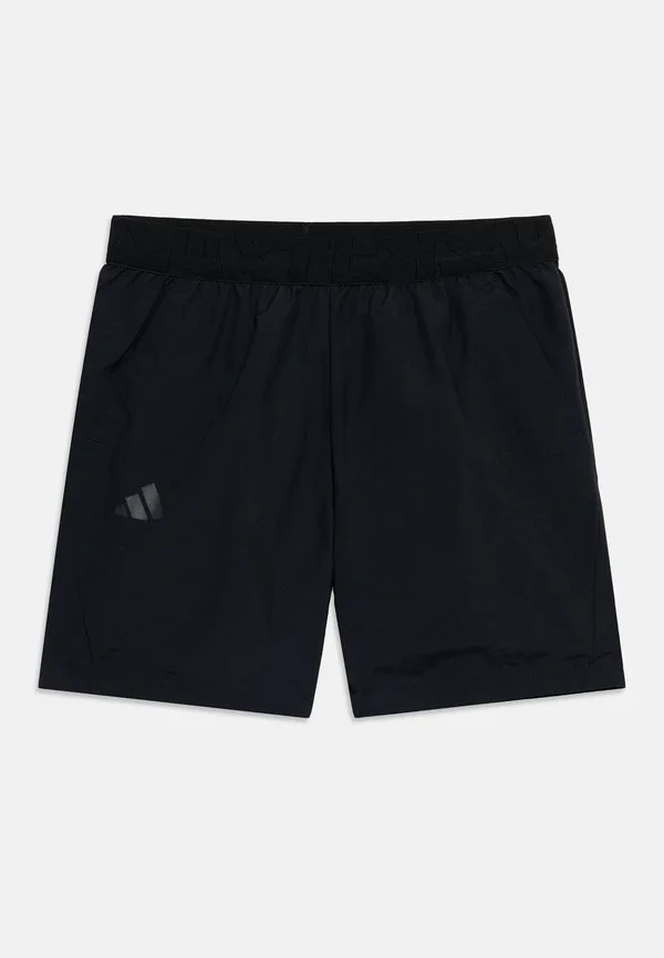 Спортивные шорты Adidas Terrex, Black