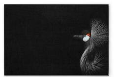 

Картина на холсте A.S. Création Crowned Crane цвет schwarzweissrot