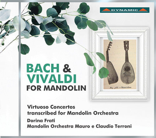 

CD диск Bach, J.S. / Vivaldi / Frati / Tenchini: Bach & Vivaldi for Mandolin