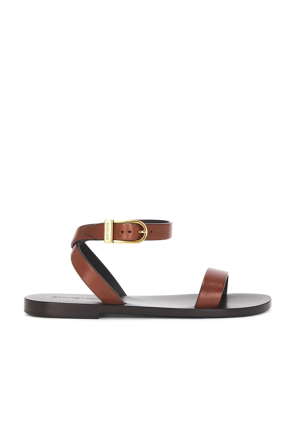 Buckle Flat Сандалии Saint Laurent, Bruciato