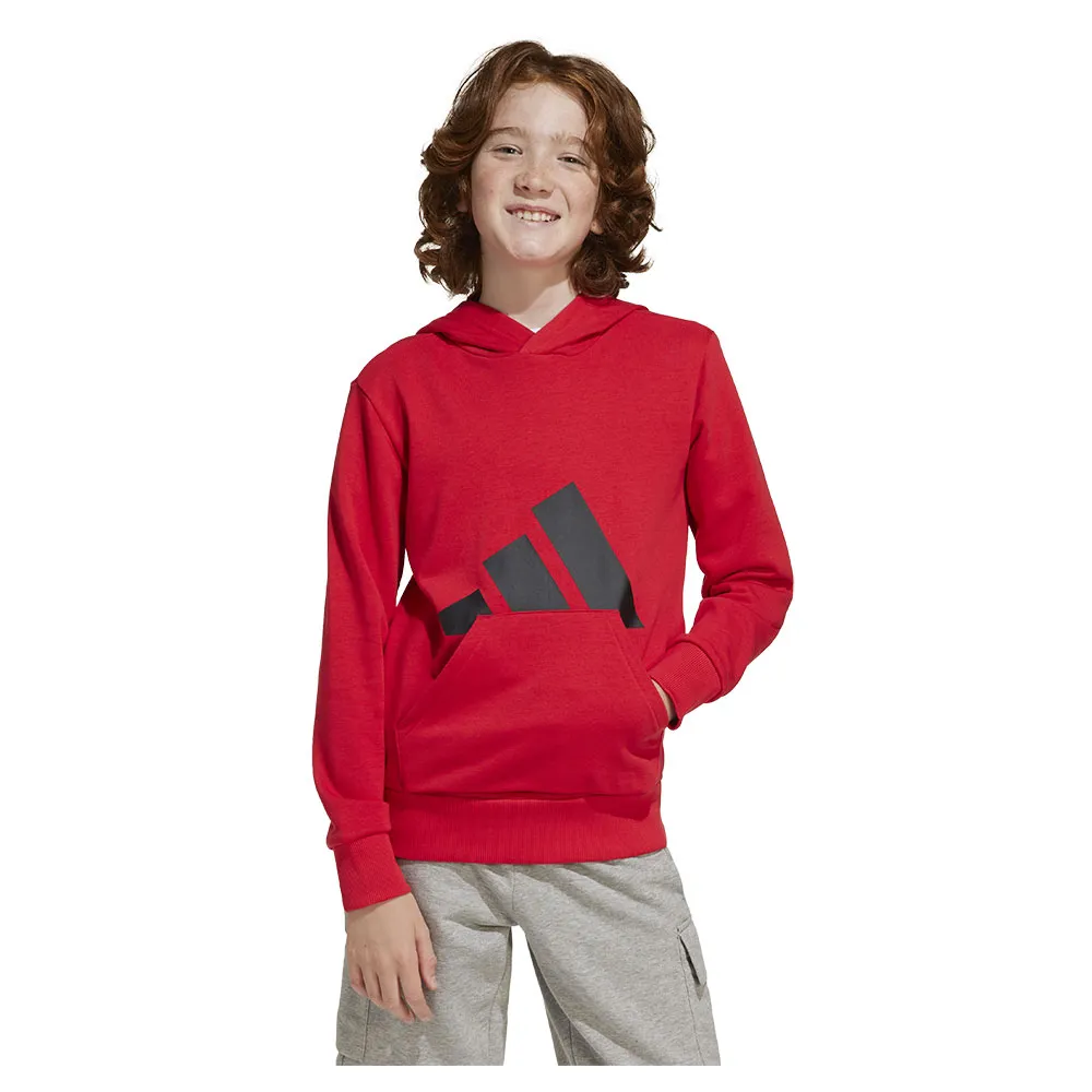 

Худи adidas Essentials Big Logo, красный