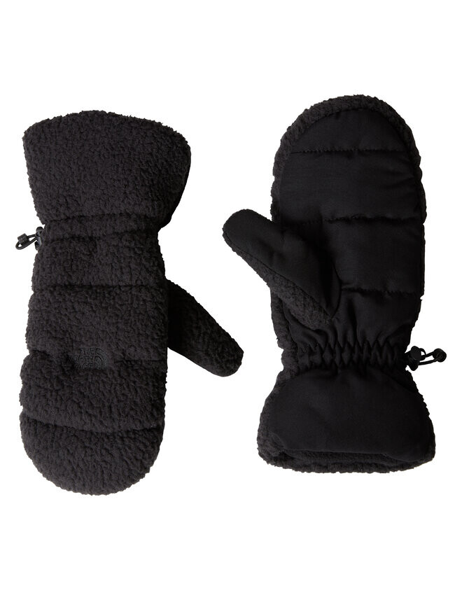 

Мужские перчатки The North Face Cragmont Fleece MittNF0A7WKTKX71, черный