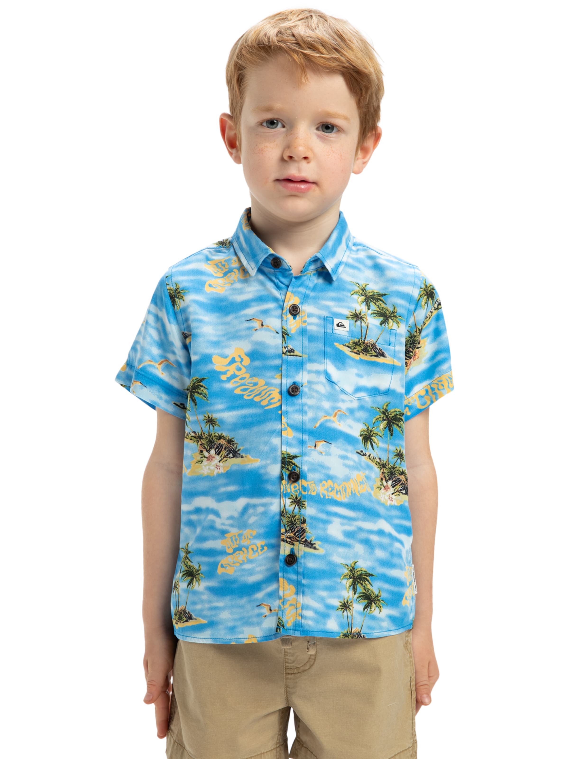 

QUIKSILVER Рубашка на пуговицах Regular Fit 'Safe Paradise' в крапчатом синем цвете