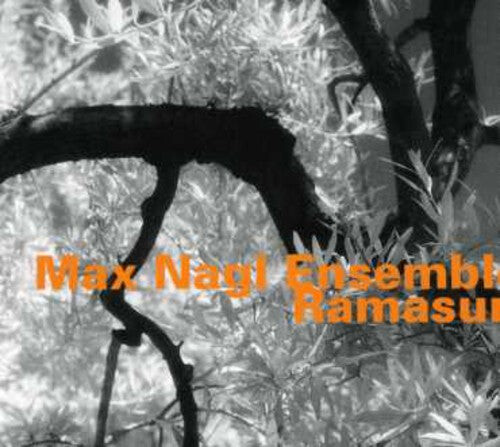 

CD диск Nagl, Max: Ensemble Ramasuri