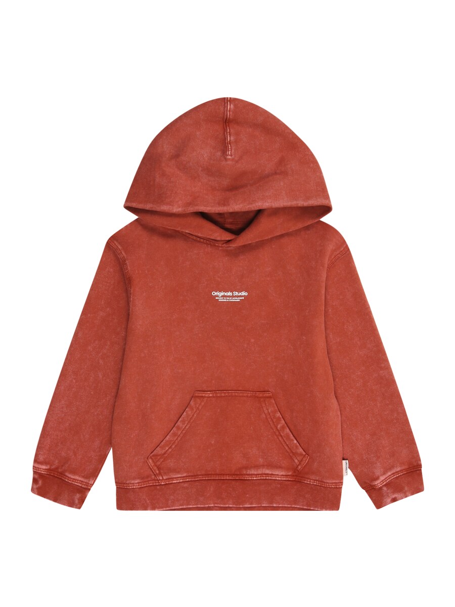 

Толстовка JACK & JONES MINI JORVESTERBRO, цвет Auburn