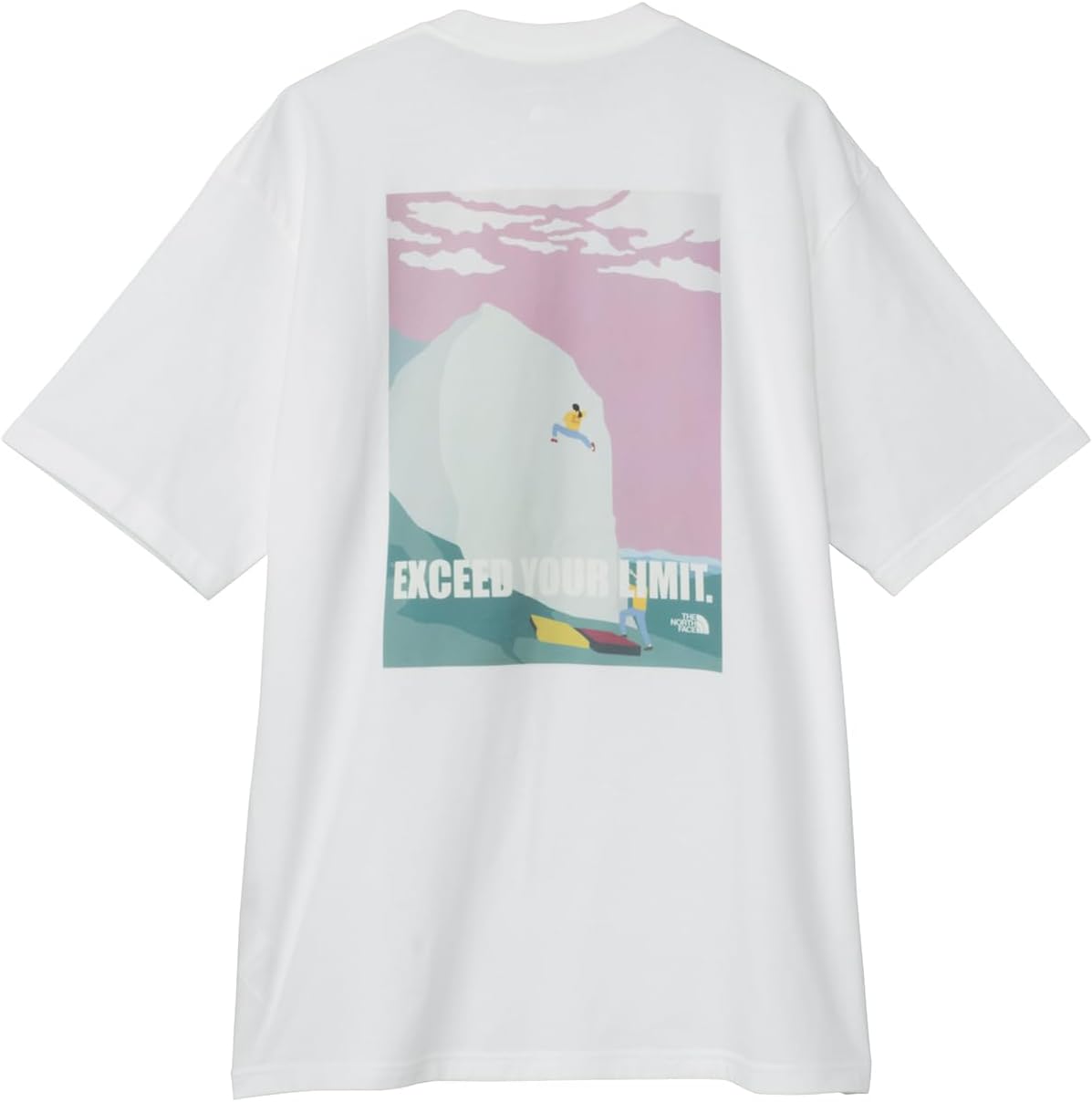 

Футболка с коротким рукавом THE NORTH FACE, Climbers' Insight Tee, размер S/S, унисекс (для взрослых), NT82510, светло-бежевый