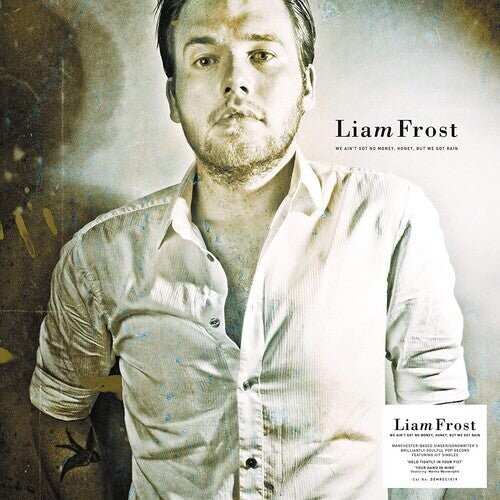 

Виниловая пластинка Frost, Liam - We Ain'T Got No Money Honey But We Got Rain