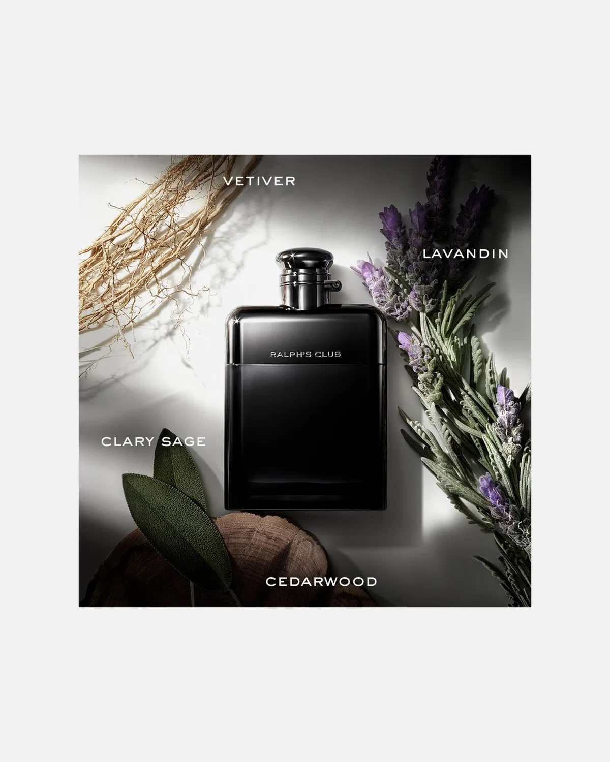 Парфюмерная вода Ralph's Club Ralph Lauren, 50 Ml — фото 3