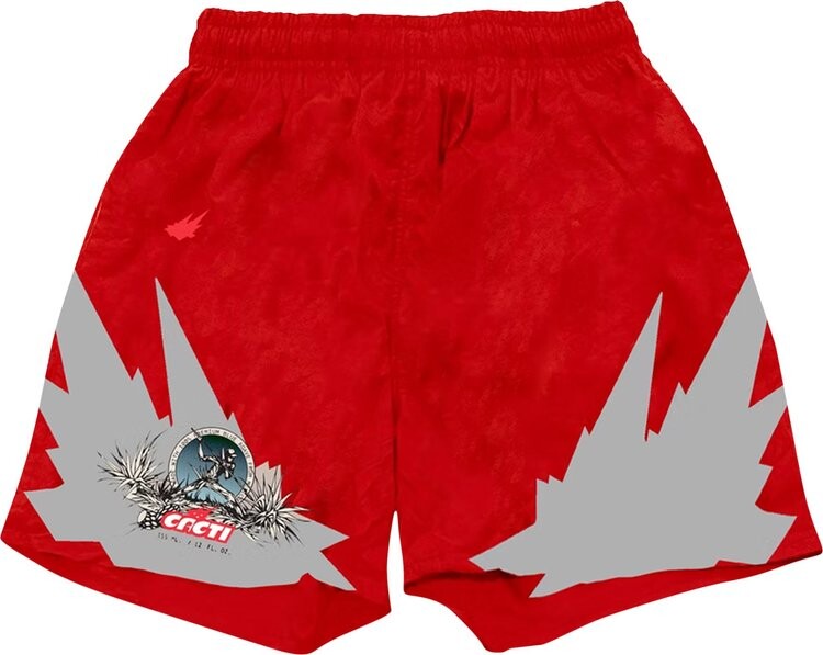 

Шорты Cactus Jack by Travis Scott Heritage 3M Soccer Short 'Red', красный