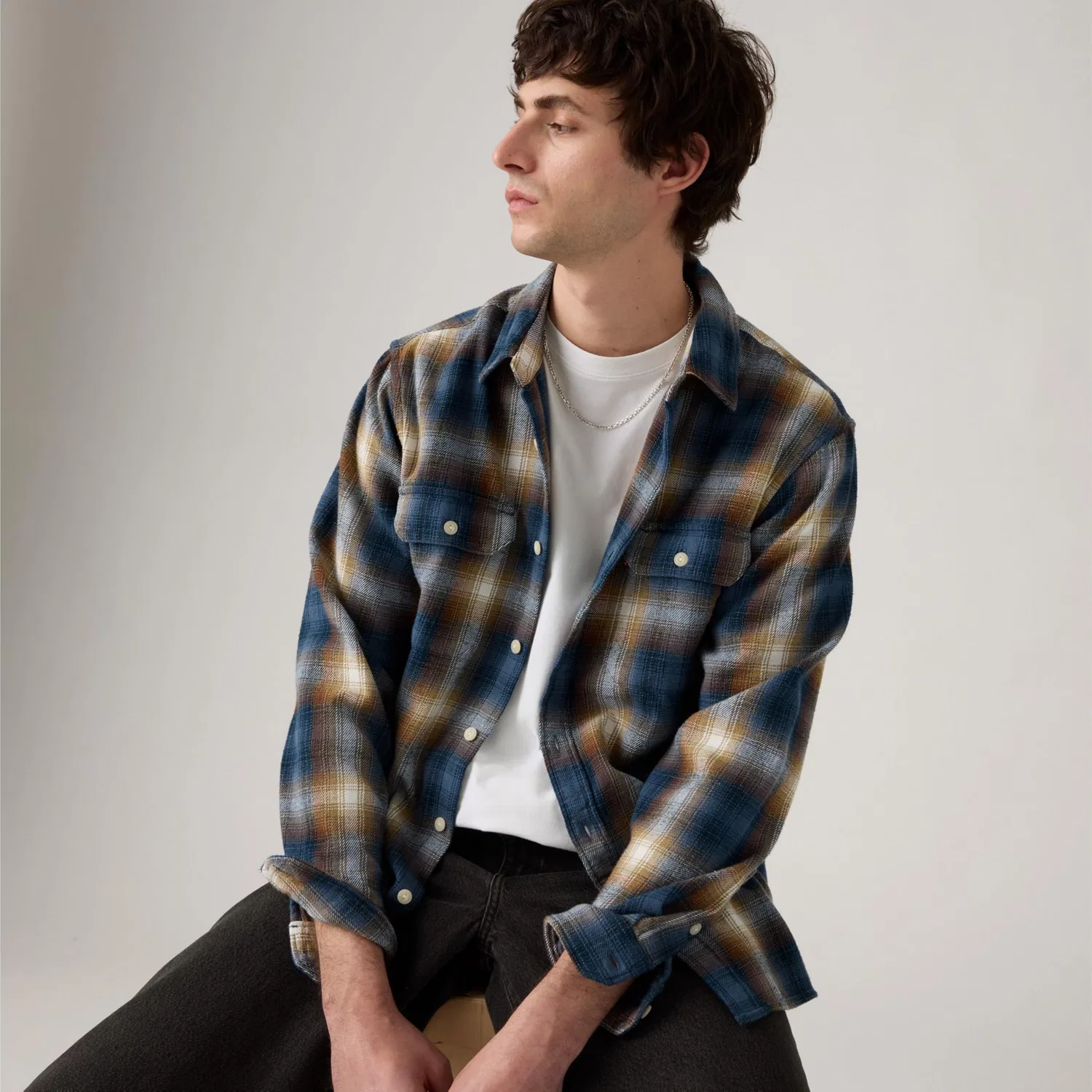 Мужская рубашка с длинным рукавом Jackson Worker Levi's, Warwick Vintage Plaid — фото 2