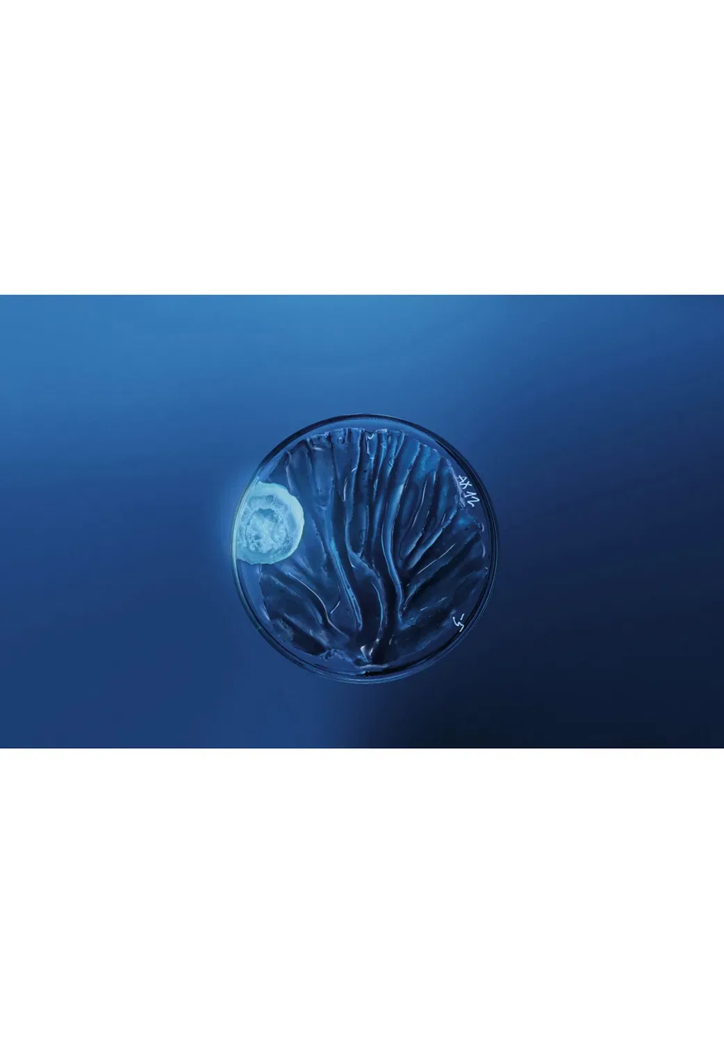 Маска Force Supreme Black - лицевая маска Biotherm, 50 мл — фото 3