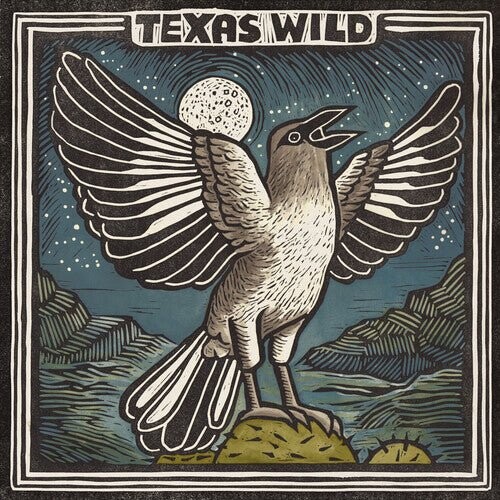 

Виниловая пластинка Texas Wild / Various