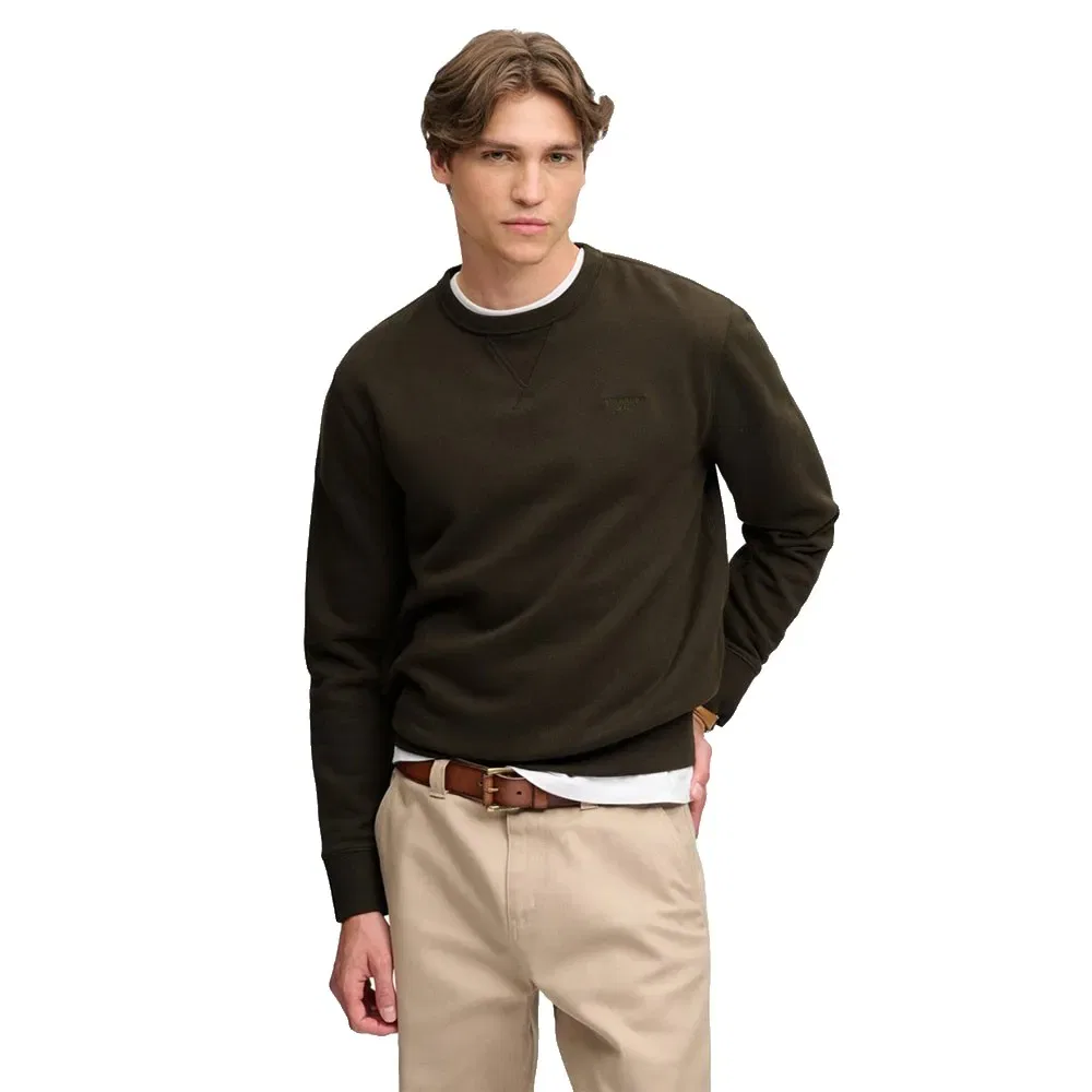 Мужской свитшот с принтом Essential Stacked Logo Superdry, Green