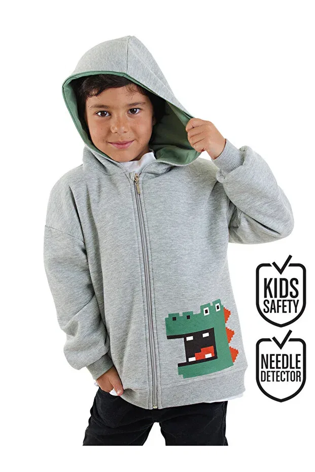 Детские свитшот для мальчиков с принтом Dinosaur Denokids, Gray
