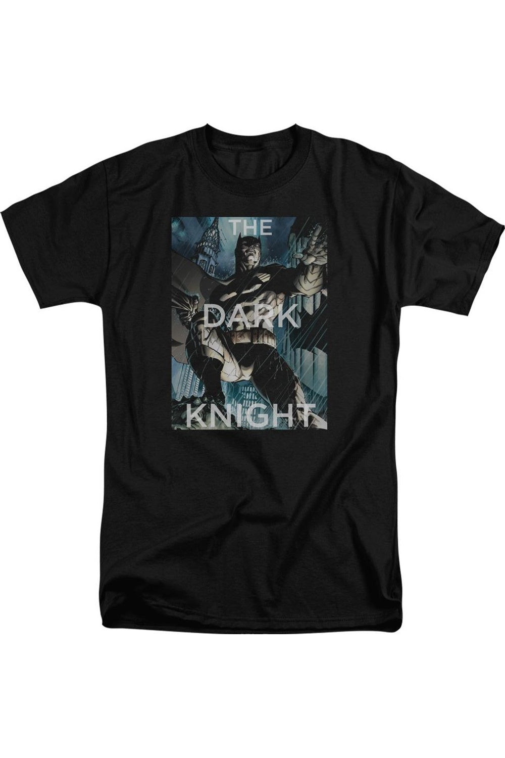 

Футболка с коротким рукавом Batman Fighting The Storm для взрослых Gildan, черный