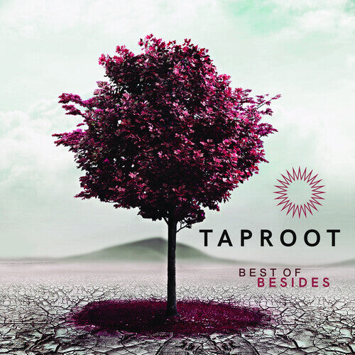 

CD диск Taproot: Best Of Besides