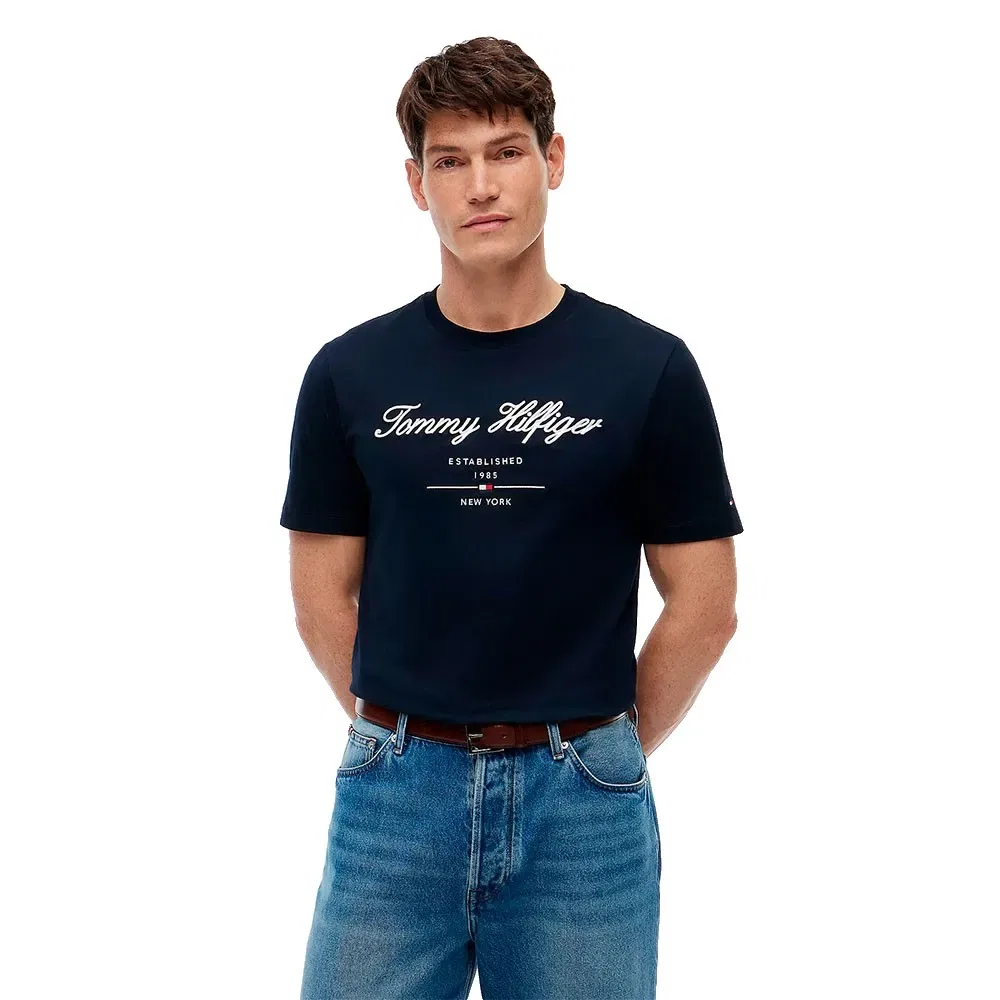 Мужская хлопковая футболка с коротким рукавом Script Logo Tommy hilfiger, Blue