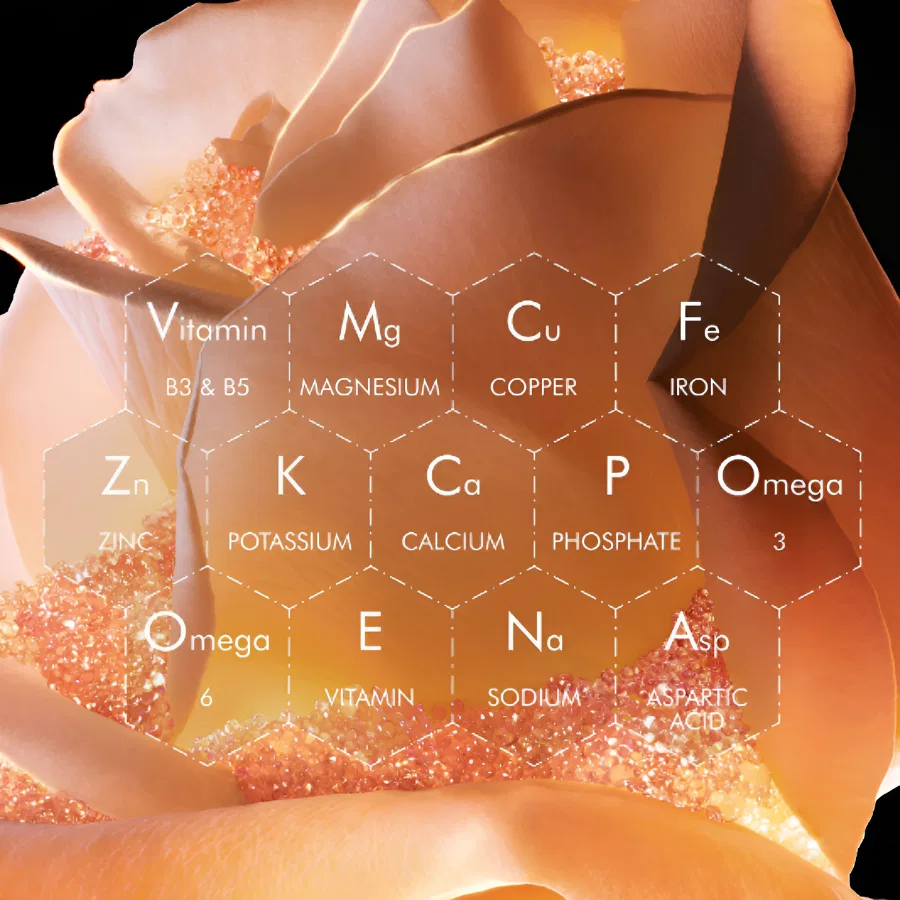 Тоник для лица с экстрактом цветов, 150 мл, Secret Floral Essence, DIOR — фото 3