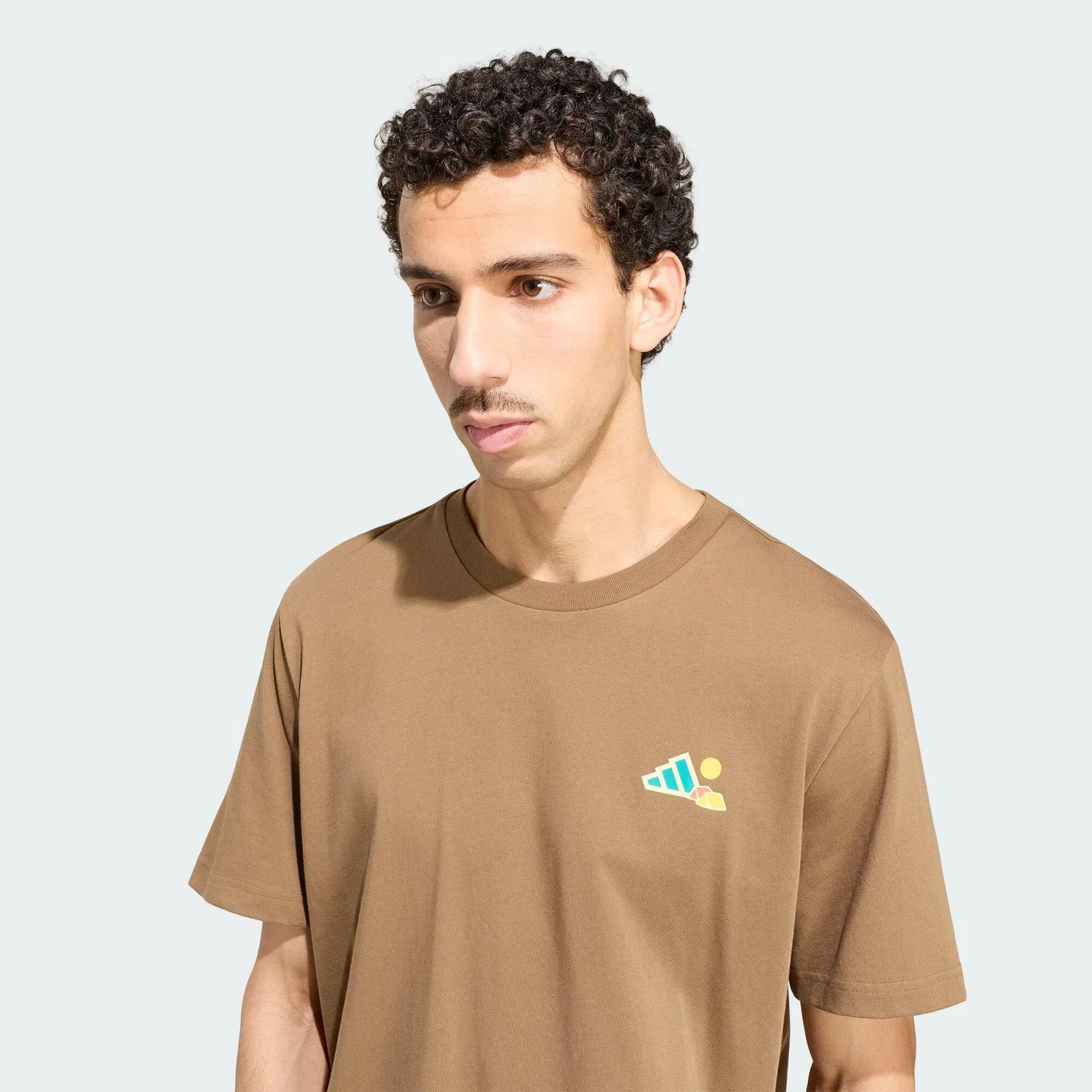 Мужская футболка с графическим принтом Terrex Camper Grafik T-Shirt Adidas, Green — фото 4