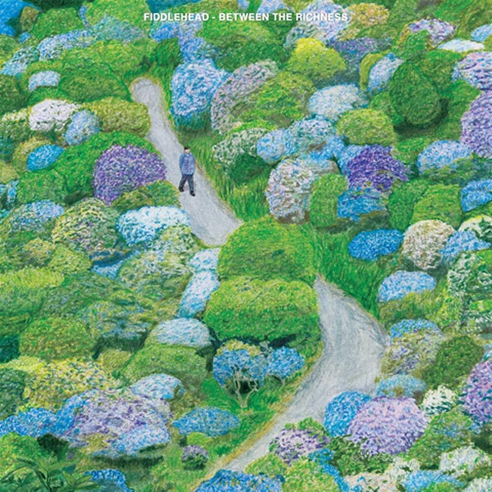 

Диск CD Between The Richness - Fiddlehead