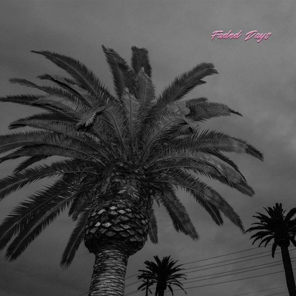 

Виниловая пластинка LP Faded Days - Actual Wolf