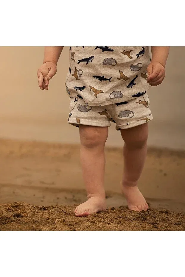 Детские шорты для мальчиков с принтом Organic Gray Melange Sea Life Antebies, Blue