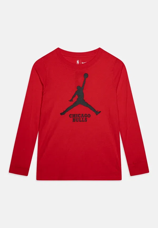 Футболка с принтом Chicago Bulls Essential Jordan Nike Performance, Red, красный